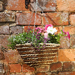 Hanging Baskets | Garden Supplies | Garden Centre | Webbs Direct