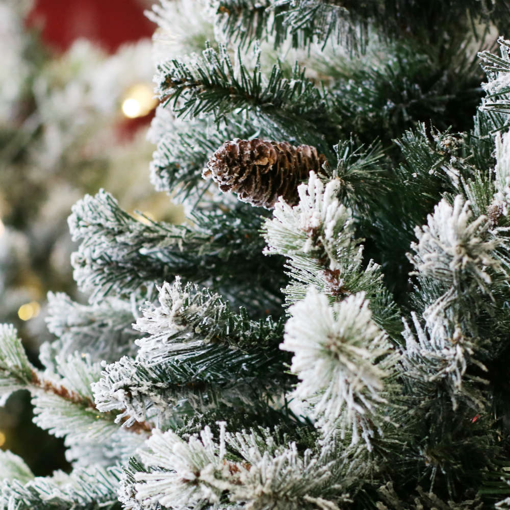 whiteriver-design: Redfields Garden Centre Christmas Trees