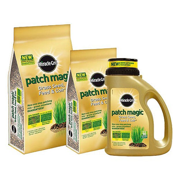 Grass Patch Seed Lawn
