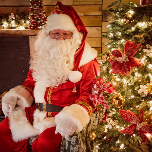 The Christmas Grotto at Cheltenham