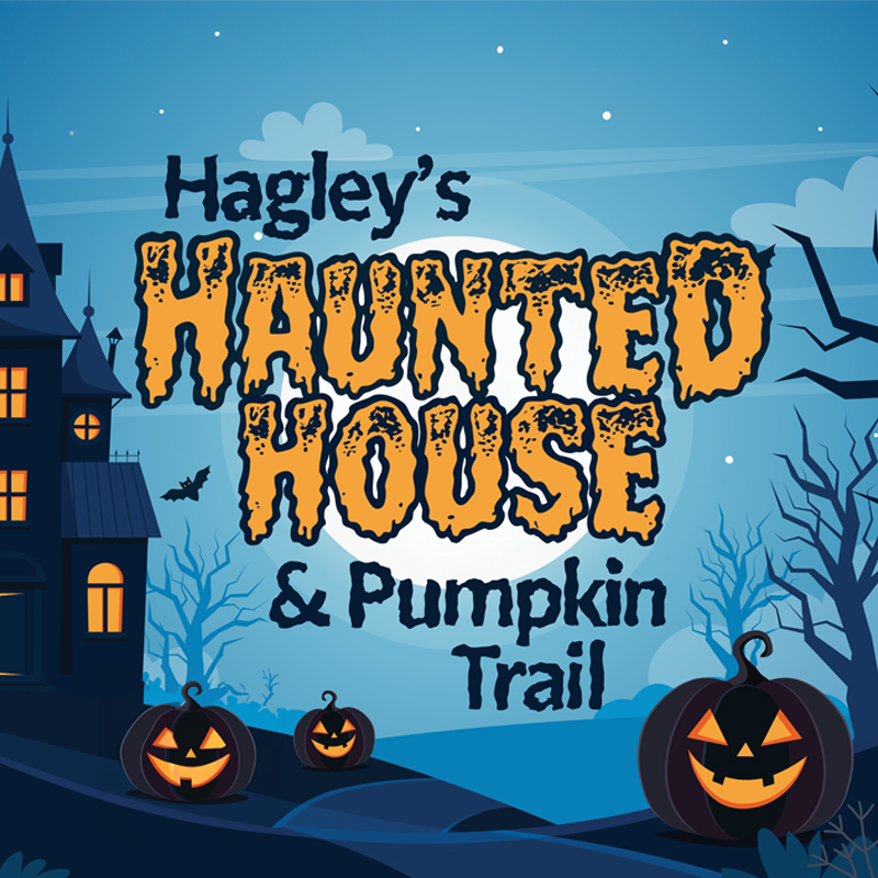 Hagley_Haunted_House