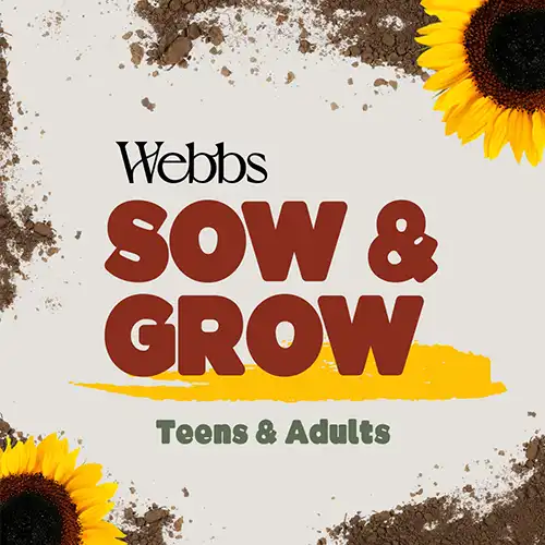 Teens and Adults Sow and Grow