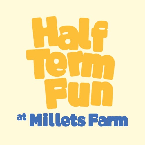 February Half Term 2025 at Webbs, Millets Farm