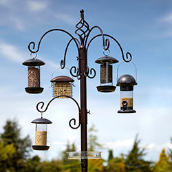 Bird Feeding Stations & Poles