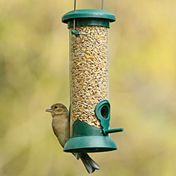 Bird Feeders Birdcare Wildlife Garden Centre Webbs Direct