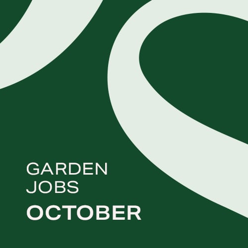 Garden Jobs: October