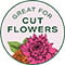 Great for Cut Flowers