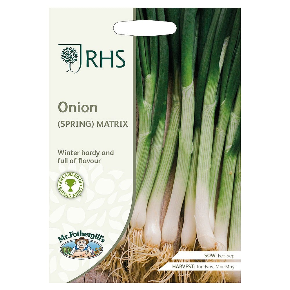 RHS AGM Strong Flavour Garlic Cristo Bulbs for Planting x 3 Gardening ...