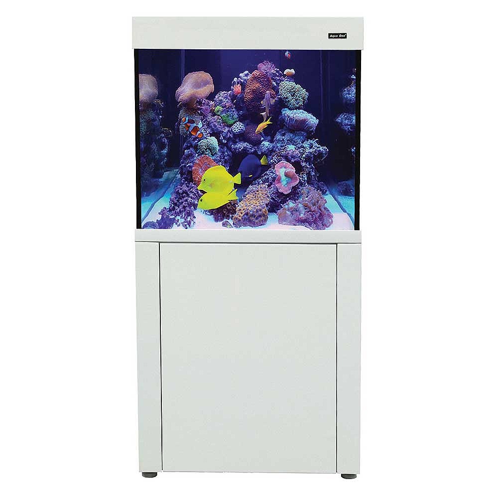 Aquareef 195 S2 Marine Aquarium Cabinet White Aquariums