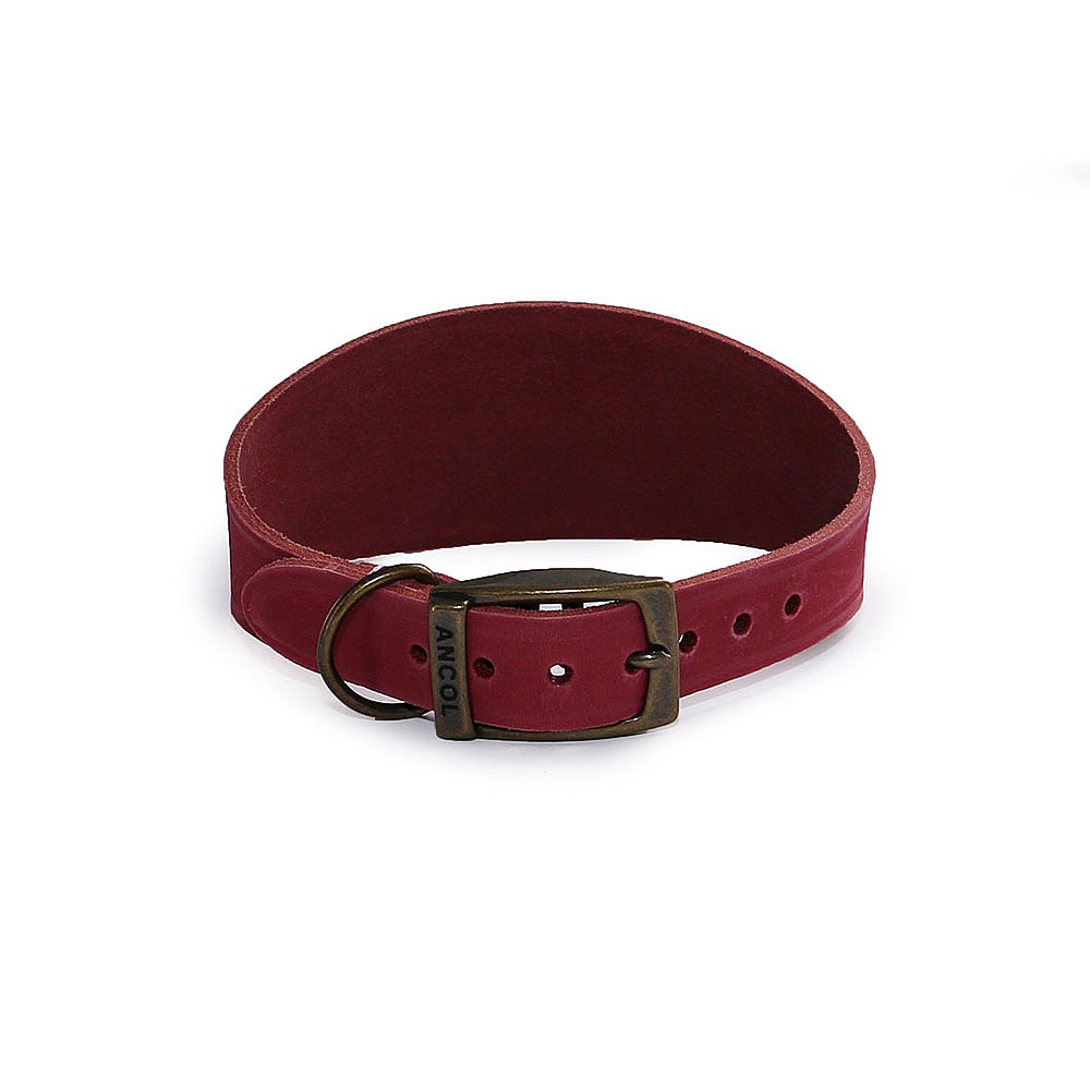 Ancol whippet outlet collar