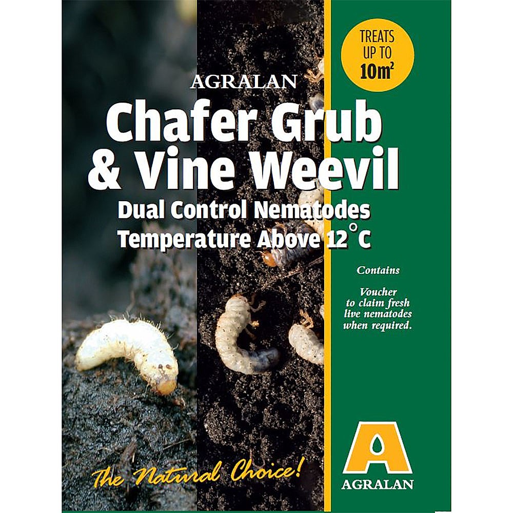 Vine Weevil Killer Nematodes