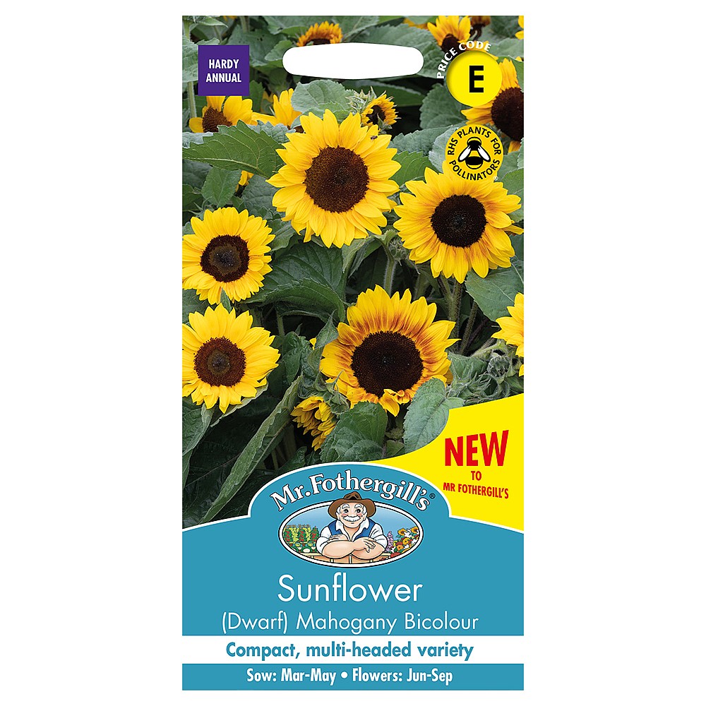 Mr Fothergills Sunflower Mahogany Seeds Sunflower Seeds Webbs Garden  Centres