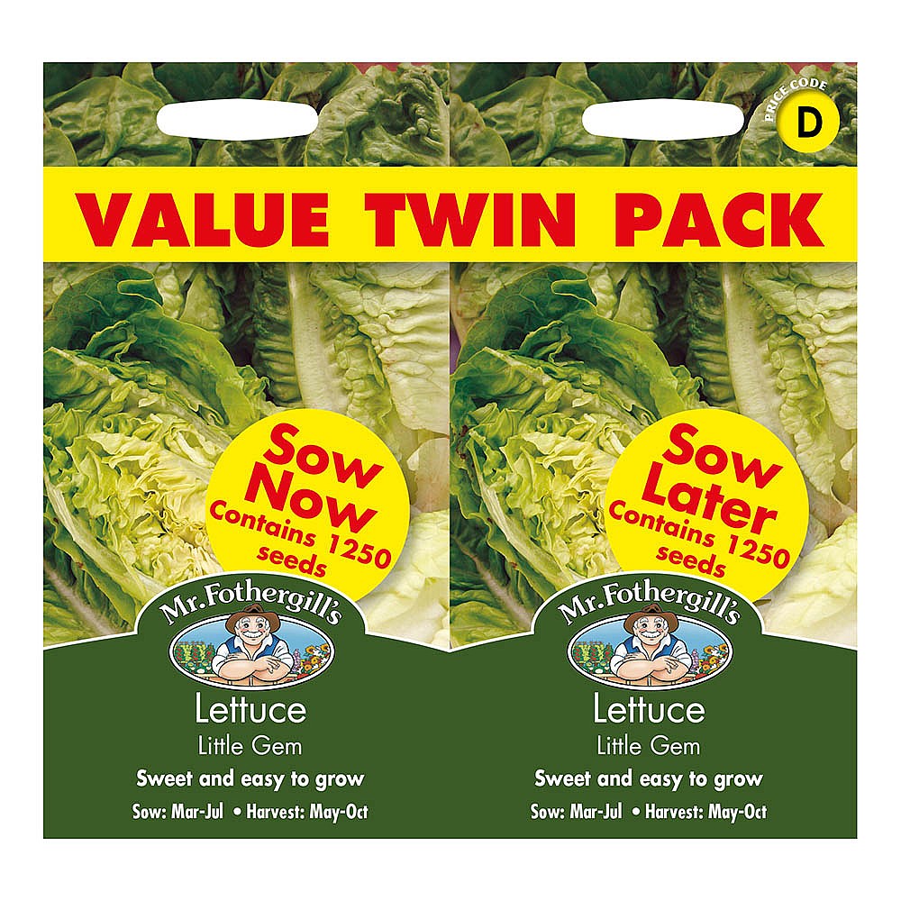 Lettuce - Little Gem Seeds