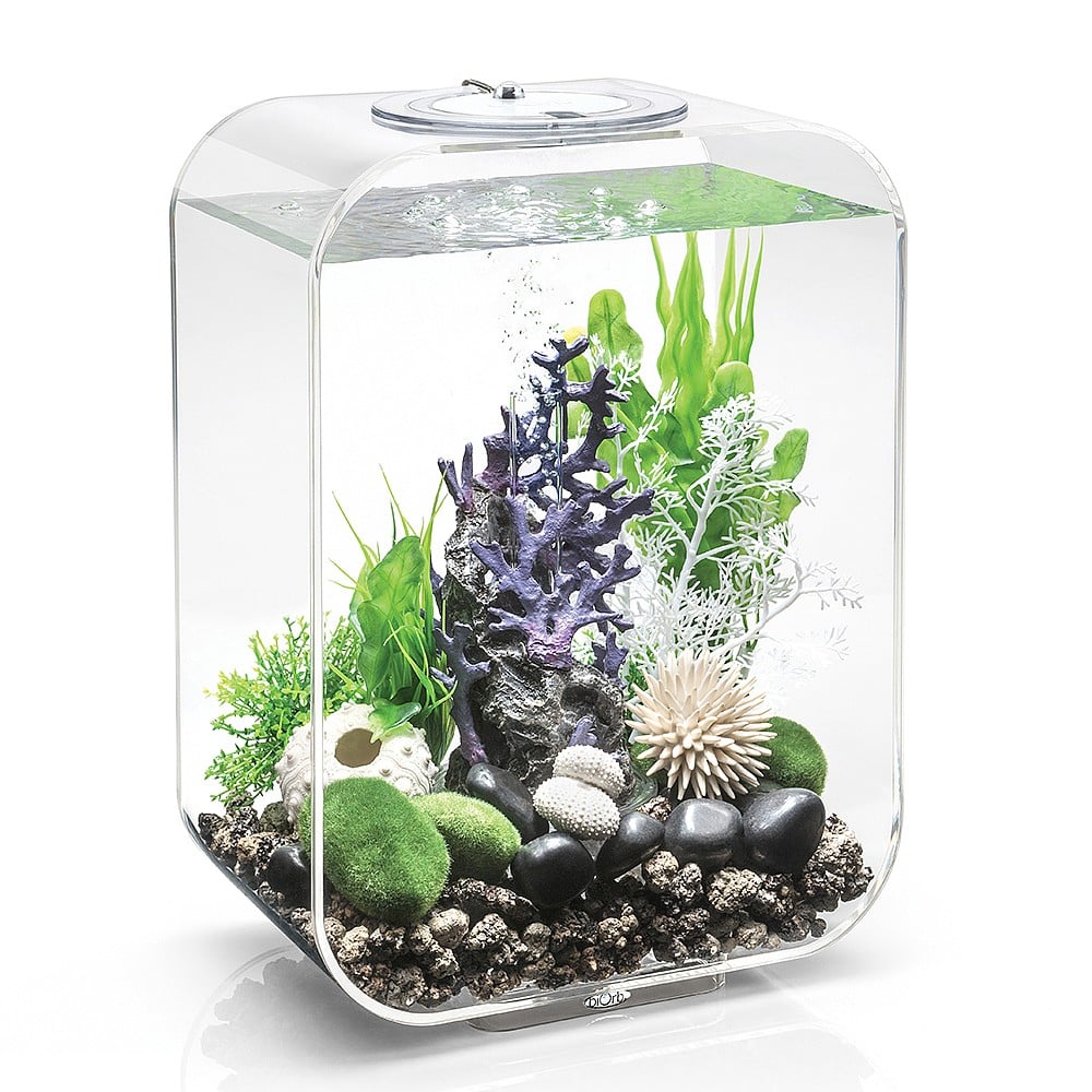 Biorb Life 15 Aquarium With Mcr Led Aquariums Cabinets Webbs