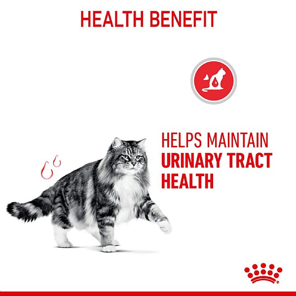 Royal canin urinary outlet care 2kg