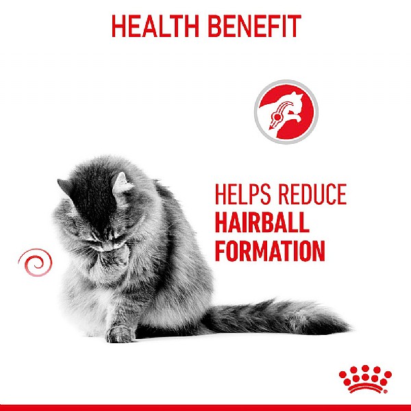 Royal canin hairball wet sales food