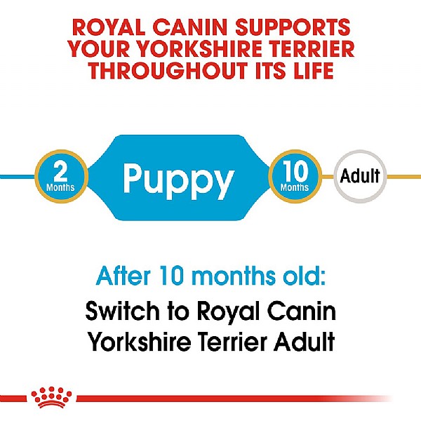 Royal canin discount yorkshire terrier junior