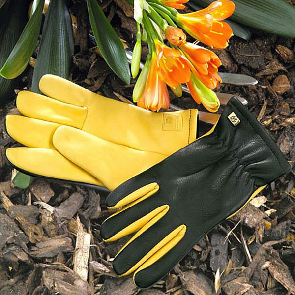 gold leaf dry touch gloves