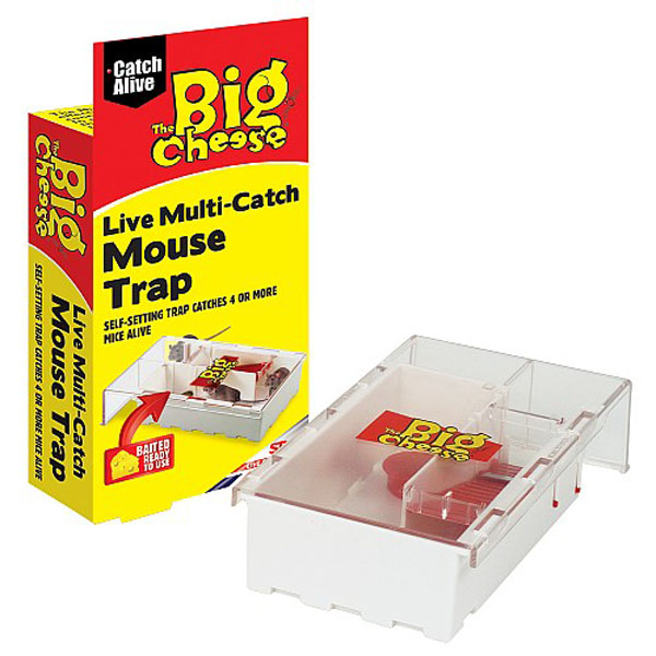 The Big Cheese Ultra Power Mouse Trap - 2 Pack - Bunnings Australia