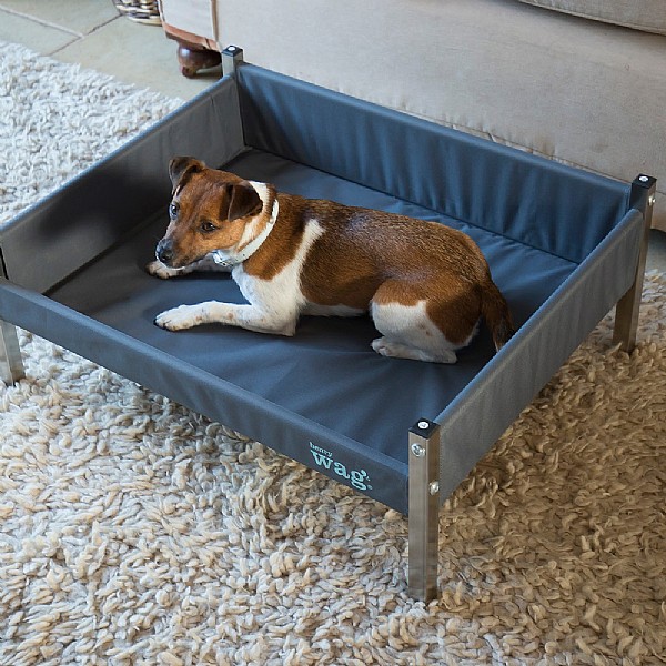 Henry Wag Elevated Dog Bed Various Sizes Dog Beds and Crates Webbs Garden Centres