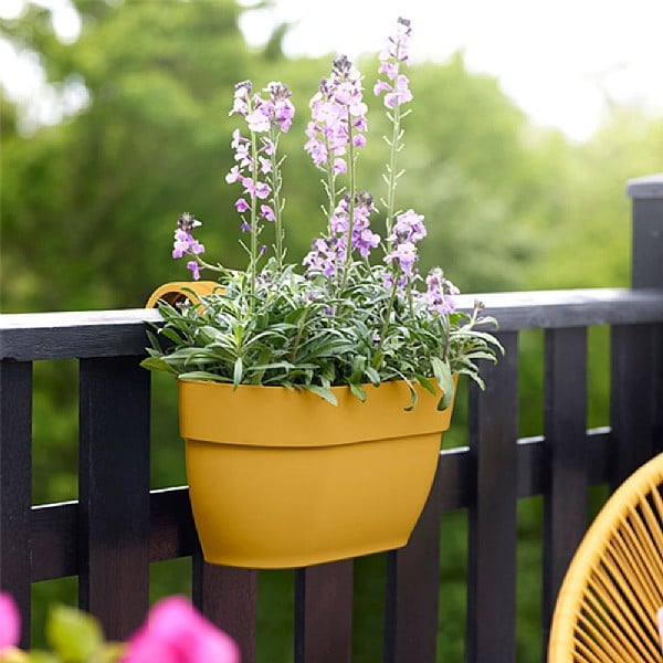 Elho Pots & Planters | Brands | Webbs Garden Centre