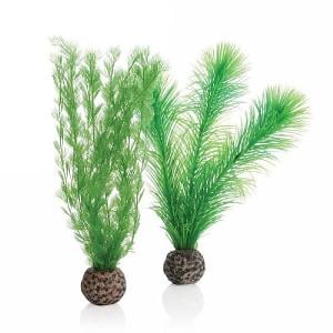 biOrb Green Feather Fern Set Small