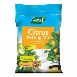 Westland Citrus Potting Mix (Seramis Enriched) 8L