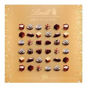 Lindt Festive Mini Pralines Selection Box 180g