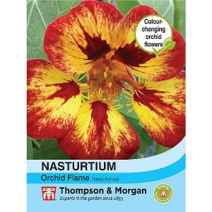 Thompson & Morgan Nasturtium Orchid Flame