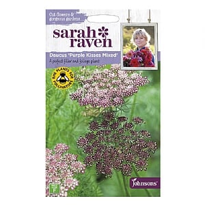 Sarah Raven Daucus Purple Kisses Mixed Seeds