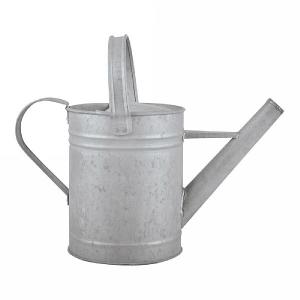 Fallen Fruits Old Zinc Watering Can 1.6L