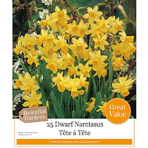 Narcissus 'Tete A Tete' (25 Bulbs)