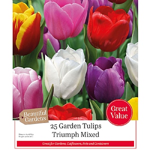 Triumph Mixed Tulip Collection (25 Bulbs)