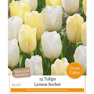 Lemon Sorbet Tulip Collection (15 Bulbs)