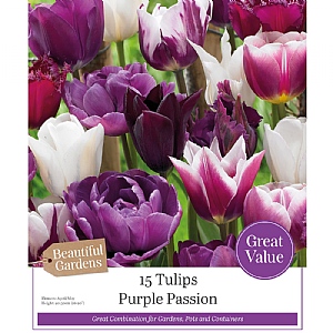 Purple Passion Tulip Collection (15 Bulbs)