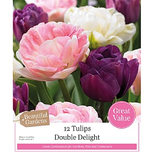 Double Delight Tulip Collection (15 Bulbs)