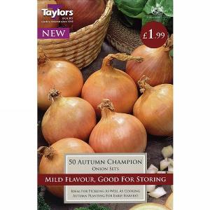 Onion 'Autumn Champion' (50 Sets)