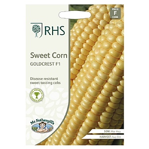 Mr Fothergills Sweet Corn Goldcrest F1 Seeds
