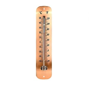 Fallen Fruits Copper Plated Thermometer