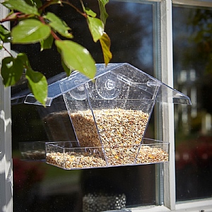 Tom Chambers Window Feeder