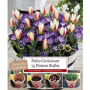 Patio Container Tulip & Crocus Collection (20 Bulbs)