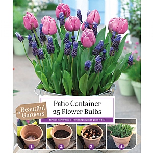 Patio Container Tulip & Muscari Collection (25 Bulbs)