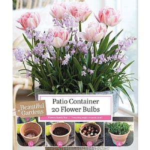 Patio Container Tulip & Chionodoxa Collection (23 Bulbs)