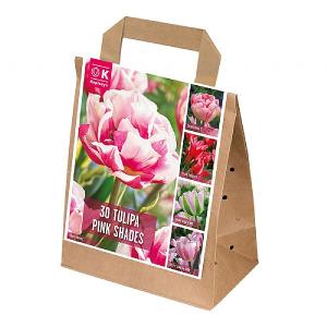 Tulip Pink Shades Collection (30 Bulbs)