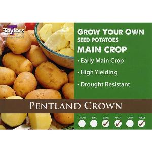 isle of jura seed potatoes