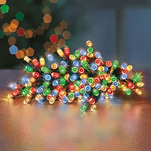 Premier Mutlicoloured Battery Operated Timer Lights (24 LEDs)