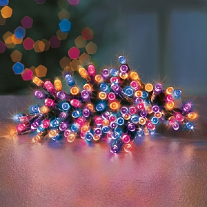 Premier Rainbow Battery Operated Timer Lights (24 LEDs)