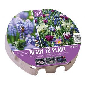 Bio Diversity Collection Ready To Plant Plant-O-Mat Tray 38cm (45 Bulbs)