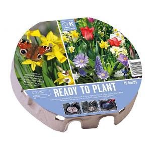 Wild Blooms Collection Ready To Plant Plant-O-Mat XL Tray 38cm (45 Bulbs)