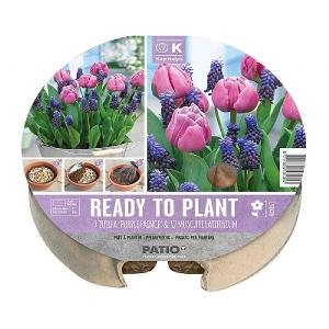 Tulip & Muscari Ready To Plant Plant-O-Mat Tray 24cm (19 Bulbs)